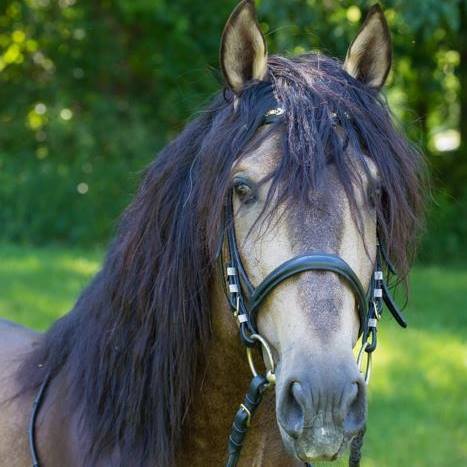 13450868_10201647001493185_1456285330970781732_n