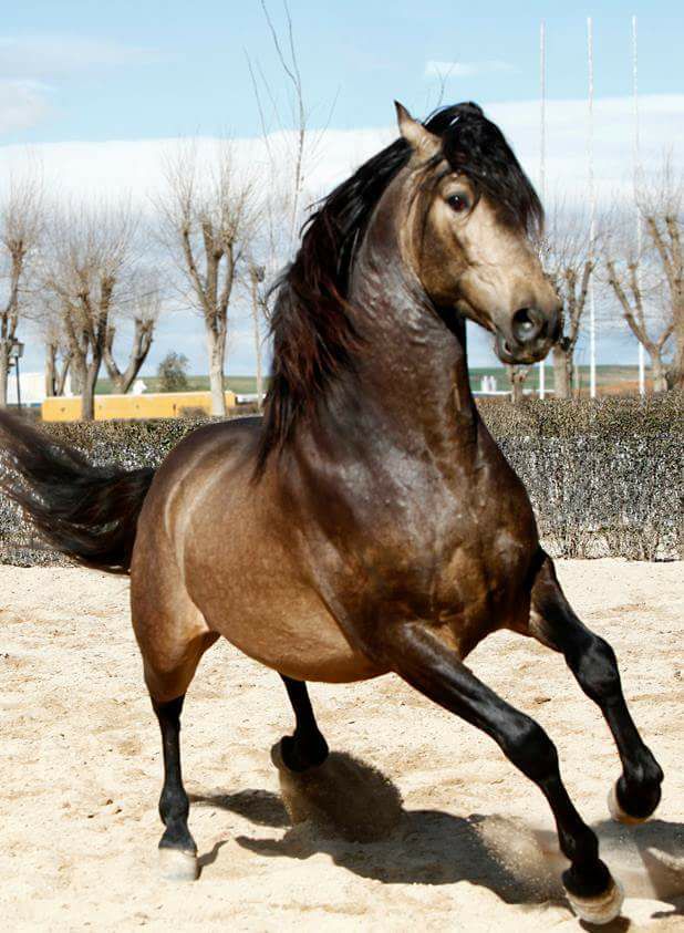 18664648_10203092258303702_5457650814224660316_n