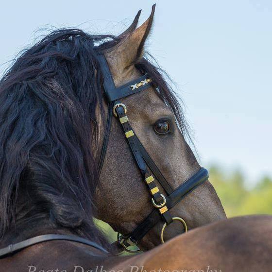 18740412_10203118020627744_1673377527421679658_n