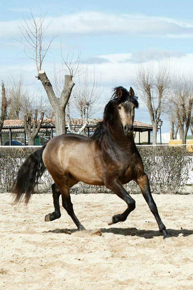 29852534_10204289994326354_1769285859_n